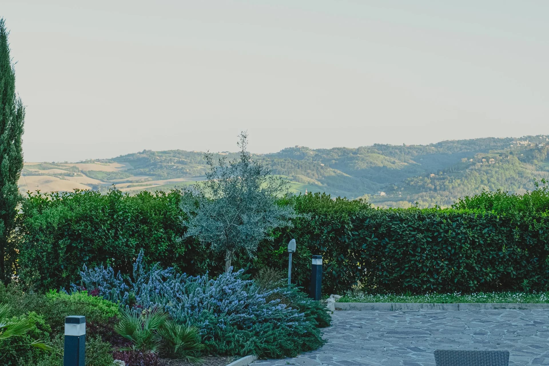 Panorama delle colline coltivate visto dal giardino, oltre la siepe, con ulivo, cipressi e cespugli di lavanda