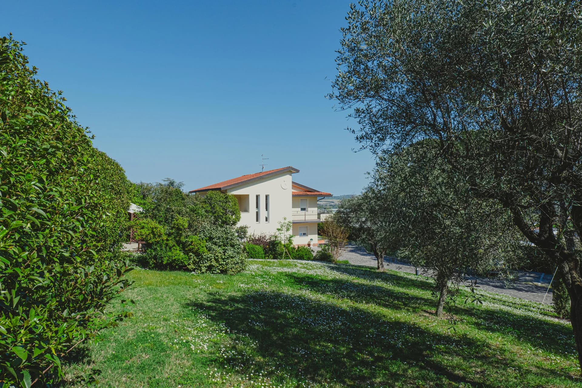La villa bianca a due piani vista dal prato fiorito, incorniciata da ulivi e alberi del giardino